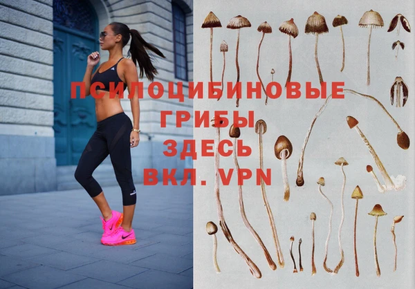 2c-b Ладушкин