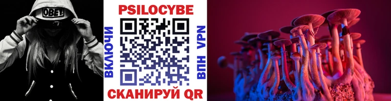 Купить закладки  Зеленоградск  Галлюциногенные грибы мицелий 
